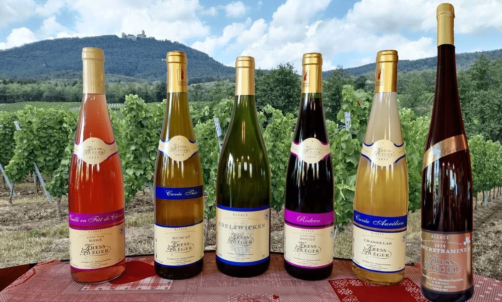 Sélection 08 2022 Vins d'Alsace kress- Bleger fond vigne Rodern